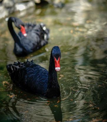 被評為“上海名牌”產(chǎn)品，這家企業(yè)究竟為民族閥門工業(yè)盡了多少力量？-