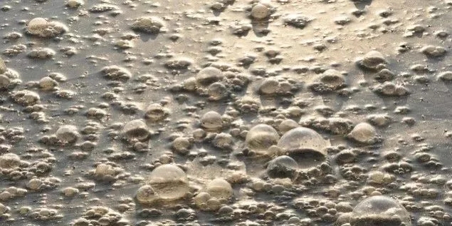 污水廠內的生物氣溶膠怎么產生，污水從業人員如何做好防護？-