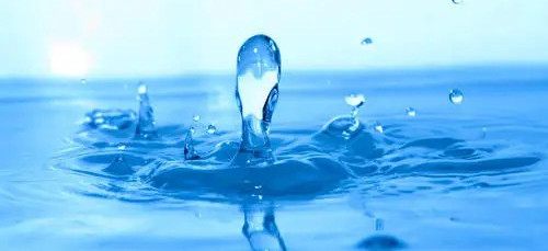 碳中和也內(nèi)卷？歐洲啤酒巨頭將用污水釀酒